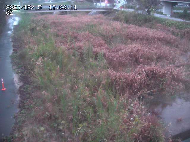 東郷川１2025/12/16 8:50:00