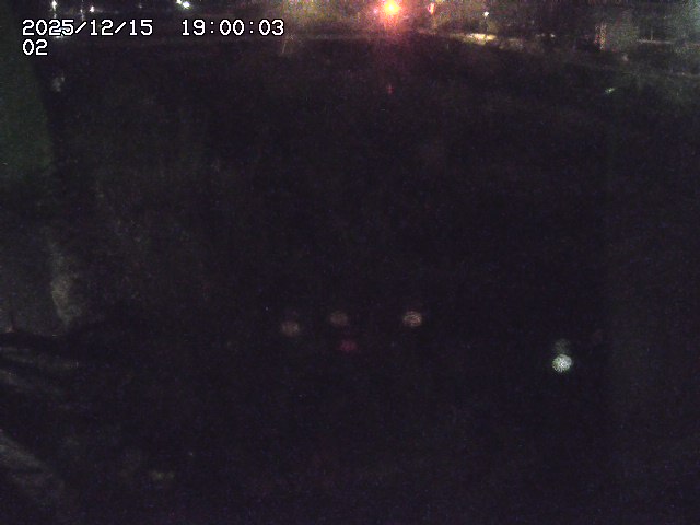 東郷川１2025/12/16 8:50:00