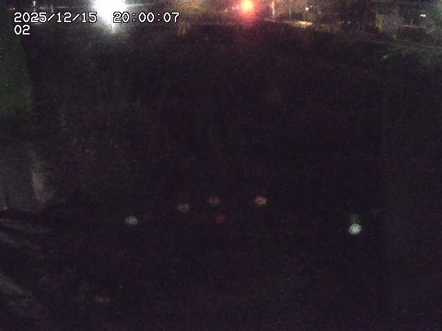 東郷川１2025/12/16 8:50:00