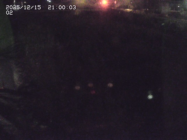 東郷川１2025/12/16 8:50:00