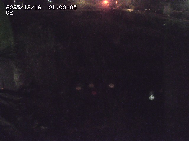 東郷川１2025/12/16 8:50:00