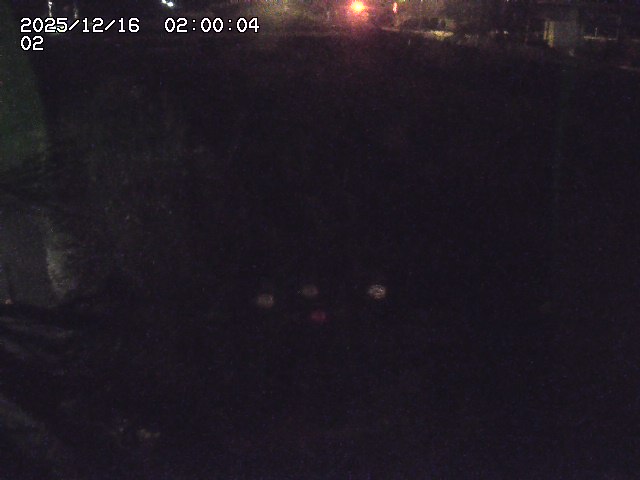 東郷川１2025/12/16 8:50:00