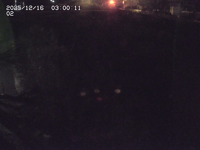 東郷川１2025/12/16 8:50:00