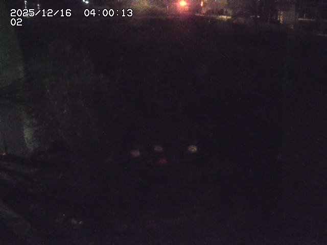 東郷川１2025/12/16 8:50:00