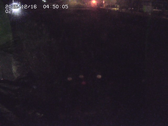 東郷川１2025/12/16 8:50:00