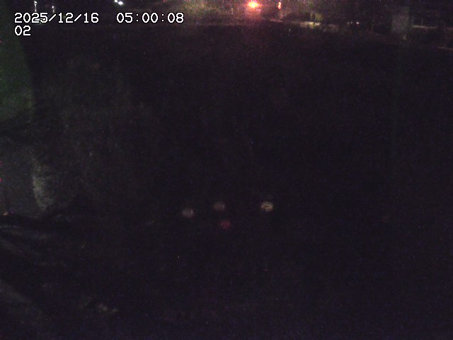 東郷川１2025/12/16 8:50:00