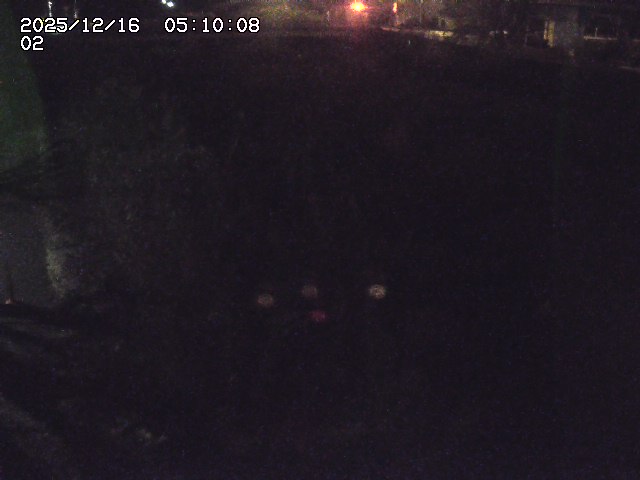 東郷川１2025/12/16 8:50:00