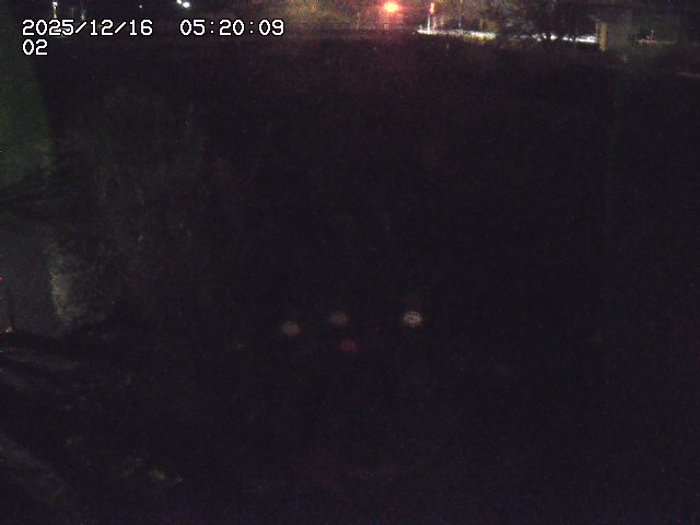 東郷川１2025/12/16 8:50:00