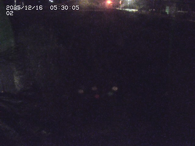 東郷川１2025/12/16 8:50:00