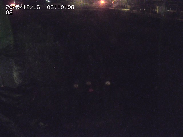 東郷川１2025/12/16 8:50:00