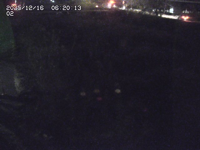 東郷川１2025/12/16 8:50:00