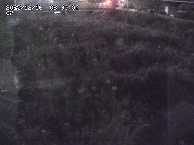 東郷川１2025/12/16 8:50:00