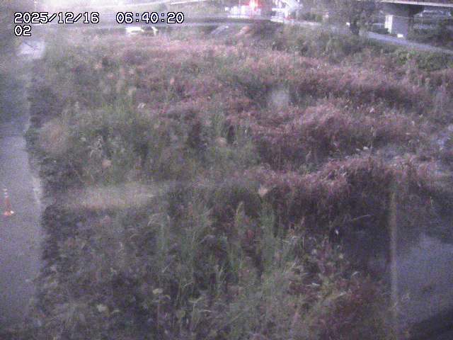 東郷川１2025/12/16 8:50:00