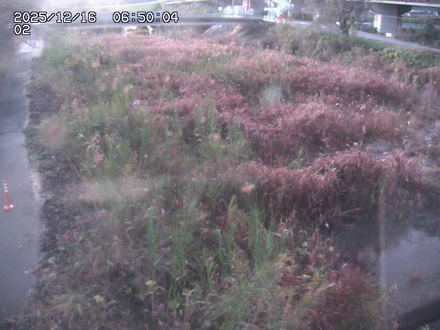 東郷川１2025/12/16 8:50:00