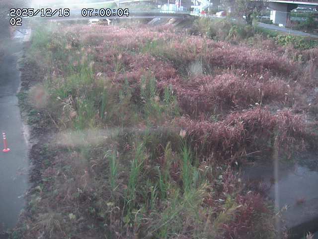 東郷川１2025/12/16 8:50:00