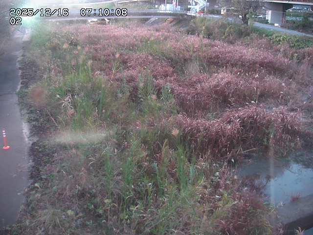 東郷川１2025/12/16 8:50:00