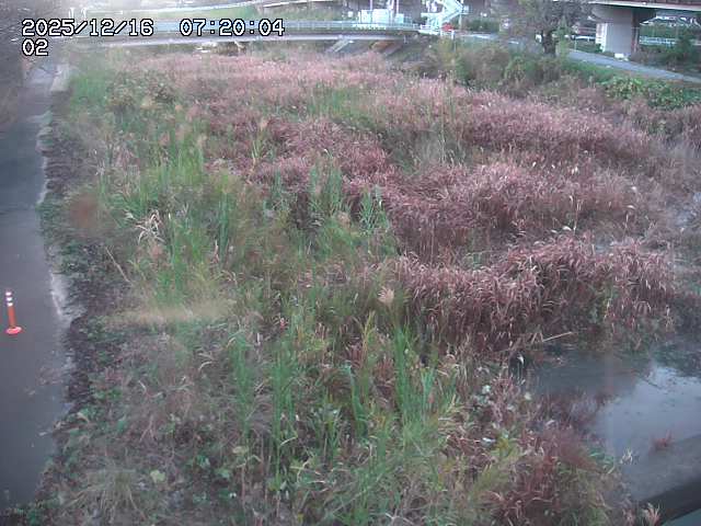 東郷川１2025/12/16 8:50:00