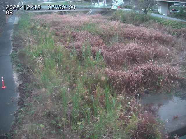 東郷川１2025/12/16 8:50:00