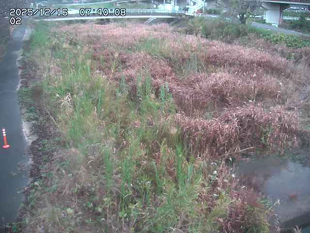 東郷川１2025/12/16 8:50:00