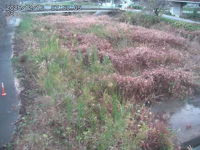 東郷川１2025/12/16 8:50:00