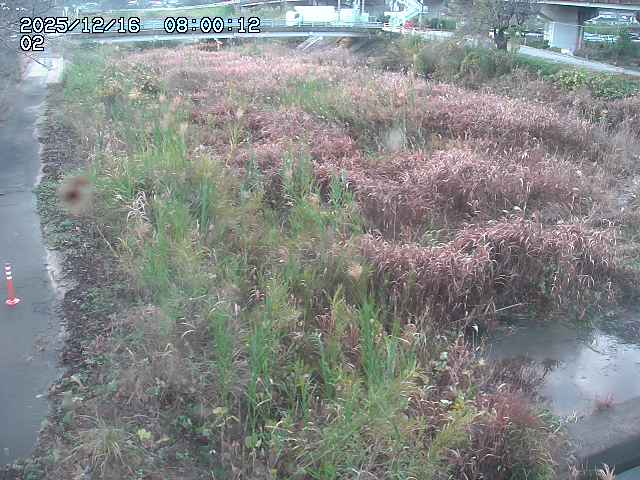 東郷川１2025/12/16 8:50:00