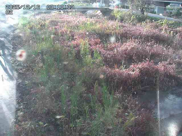 東郷川１2025/12/16 8:50:00