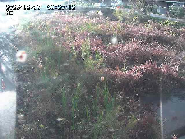 東郷川１2025/12/16 8:50:00