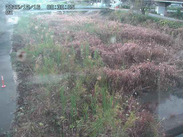 東郷川１2025/12/16 8:50:00