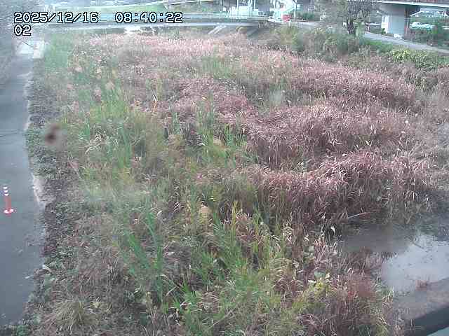 東郷川１2025/12/16 8:50:00