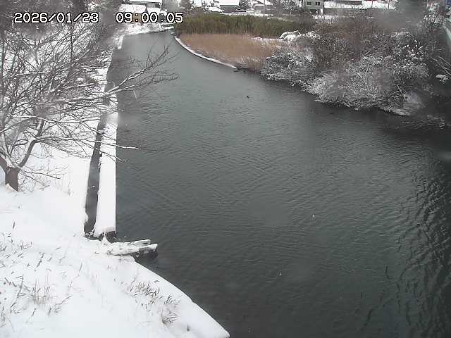 原川１2026/01/24 2:40:00