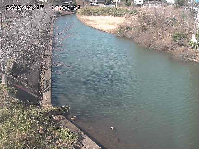 原川１2026/02/17 18:30:00