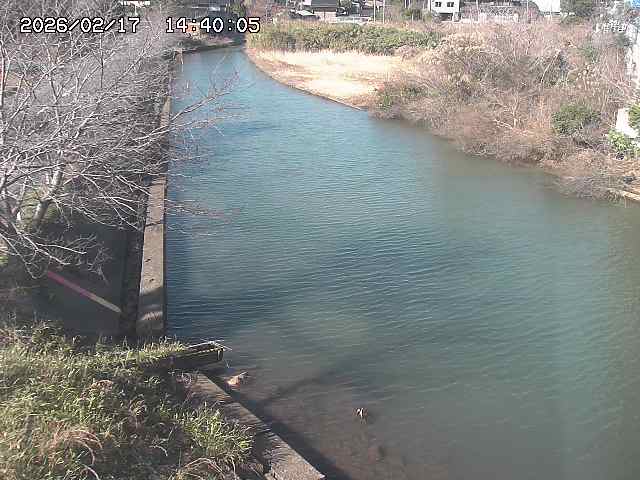 原川１2026/02/17 18:30:00