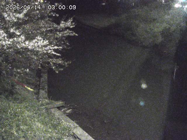 原川１2026/04/14 17:10:00