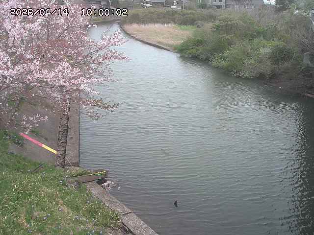 原川１2026/04/14 17:10:00