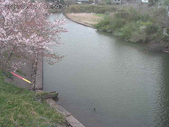 原川１2026/04/14 17:10:00