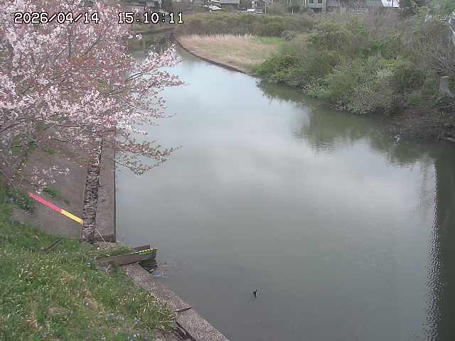 原川１2026/04/14 17:10:00