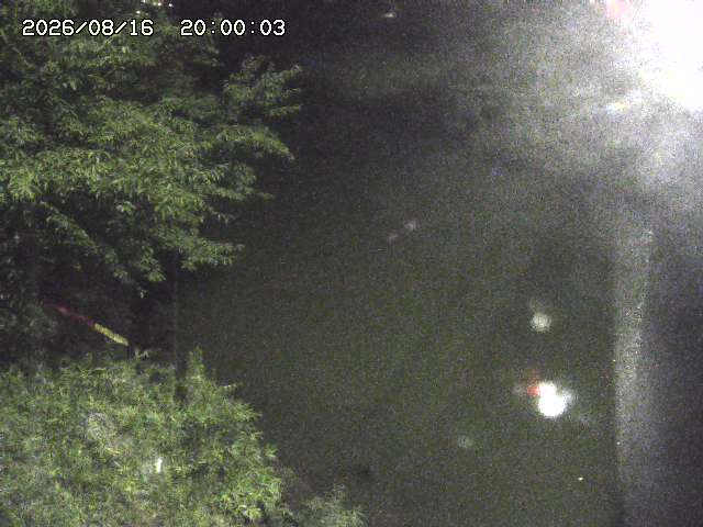 原川１2026/08/17 20:40:00