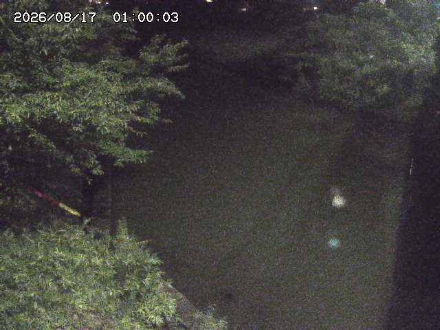 原川１2026/08/17 20:40:00