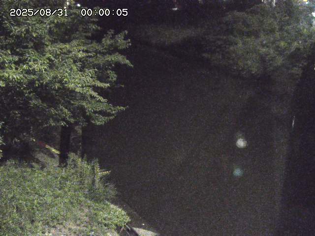 原川１2025/08/31 9:20:00