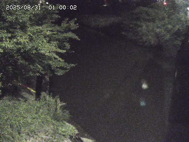 原川１2025/08/31 9:20:00