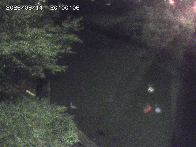原川１2026/09/15 15:20:00