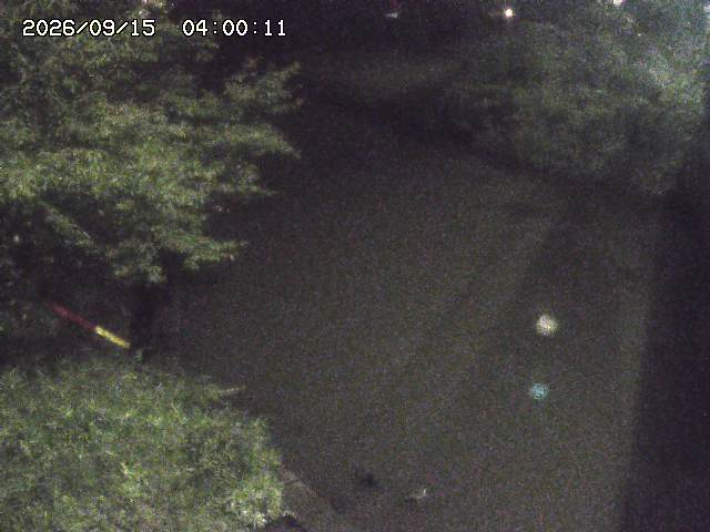 原川１2026/09/15 15:20:00