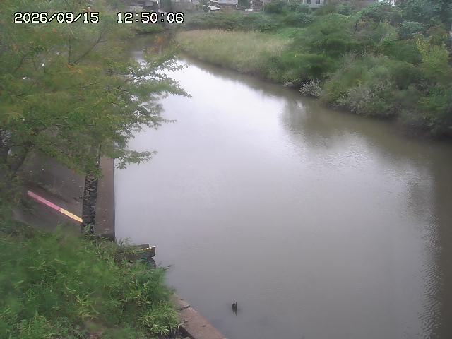 原川１2026/09/15 15:20:00