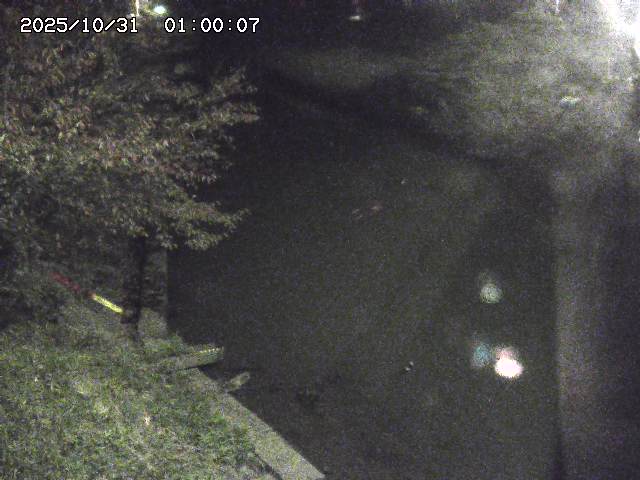 原川12025/10/31 23:50:00