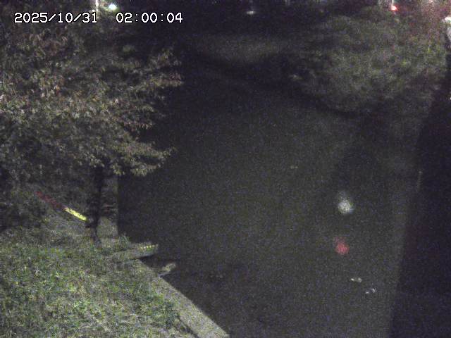 原川12025/10/31 23:50:00