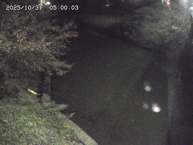 原川12025/10/31 23:50:00