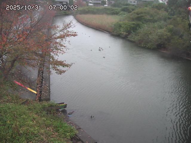 原川12025/10/31 23:50:00