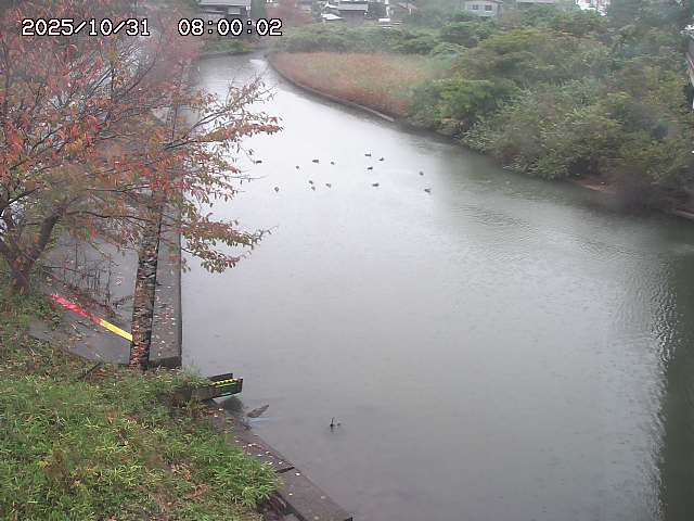 原川12025/10/31 23:50:00