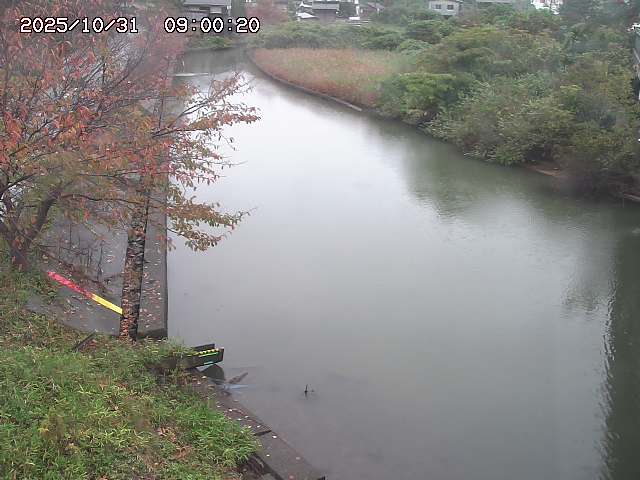 原川12025/10/31 23:50:00