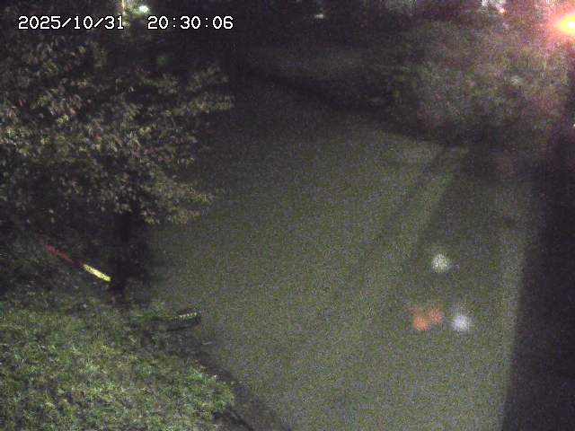 原川12025/10/31 23:50:00